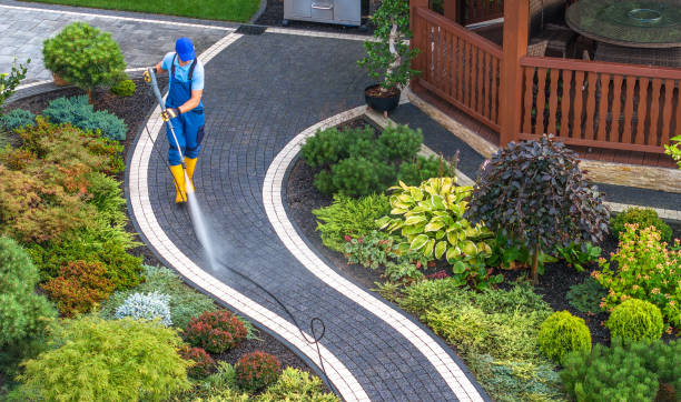 Best Residential Pressure Washing Services  in Avilla, AR